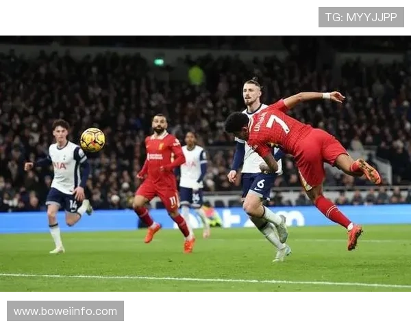 热刺连败坠落 英超资格告急